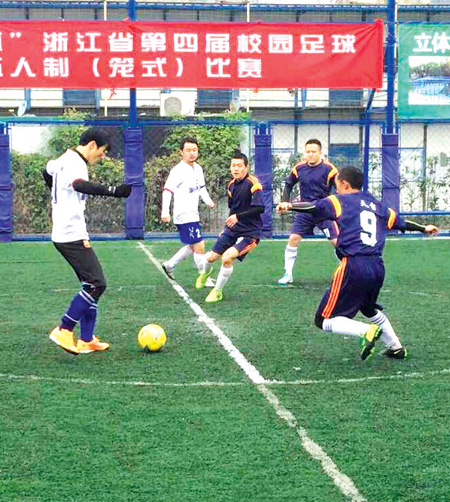 Cage football field (frame steel stamping fence)